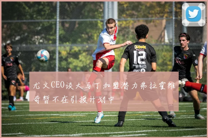 尤文CEO谈大马丁加盟潜力弗拉霍维奇暂不在引援计划中